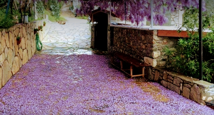 Havva Ana Kahvaltı Evi - Bodrum Kahvaltı Yerleri