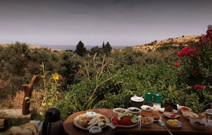 Bodrum kahvaltı mekanları - Limon Gümüşlük