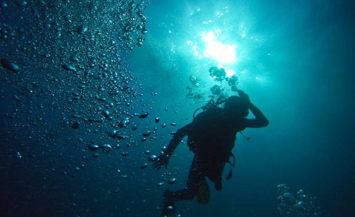 Scuba Diving Bodrum 2020 - Bodrum Dalış Turu