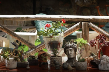Bitez Cafe Petek Bodrum