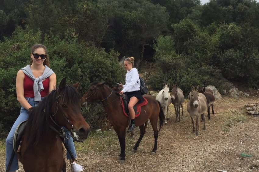 Bodrum at safari turumuzla doğada at binme keyfini doyasıya yaşayın.