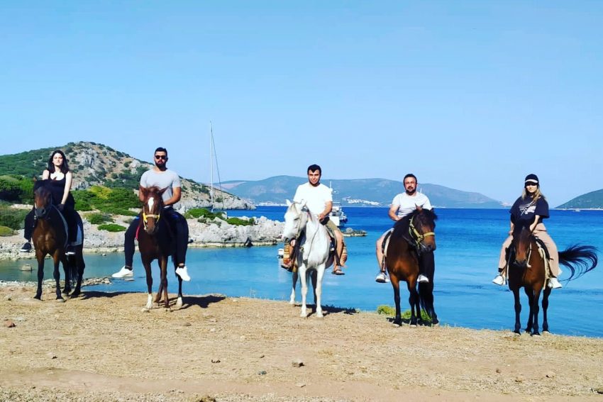 Bodrum at safari turu rotasında serin suların tadını çıkaran at ve sahil manzarasının keyfini süren binicisi."