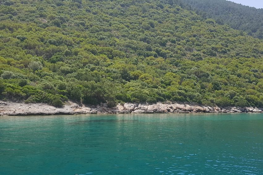 bodrum tekne turu